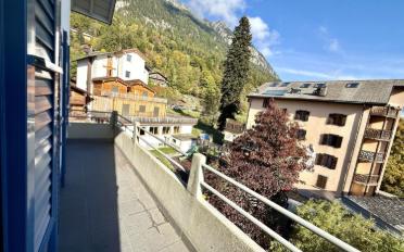 Immeuble mixte 12.5 pièces - image - 9