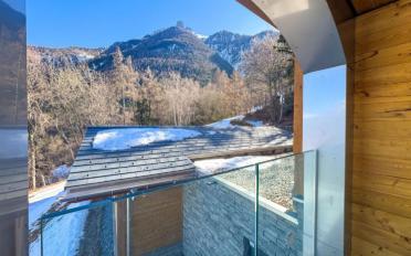 Duplex 3.5 rooms - image - 9