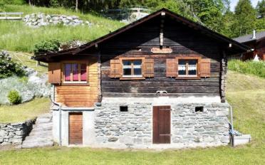 Chalet 4 rooms - image - 3