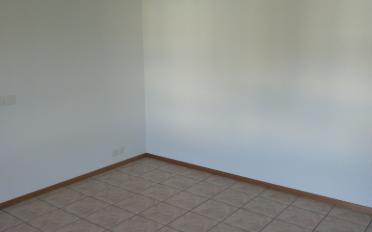 Wohnung 2.5 Zimmer - image - 4
