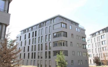 Wohnung 2.5 Zimmer - image - 1