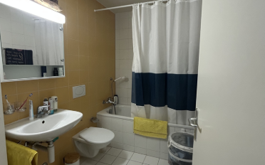 Apartment 1.5 rooms - image - 8