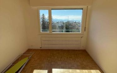 Villa 7.5 Zimmer - image - 12
