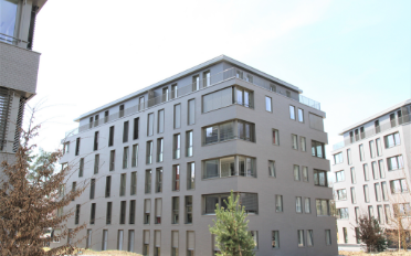 Wohnung 2.5 Zimmer - image - 1