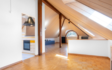 Wohnung ein Zimmer - image - 1