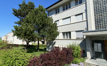 Wohnung 3.5 Zimmer - image - 1