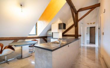 Furnished flat 2.5 rooms - image - 4