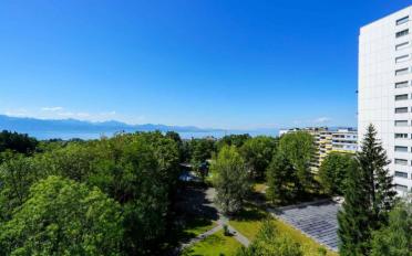 Wohnung 3 Zimmer - image - 11