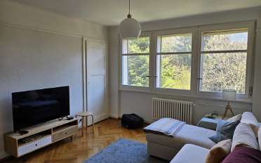 Appartement 2.5 pièces - image - 3