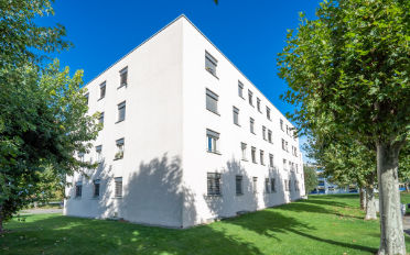 Wohnung 2.5 Zimmer - image - 1