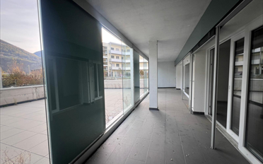 Wohnung 3.5 Zimmer - image - 4