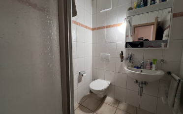 Appartement 4.5 pièces - image - 6