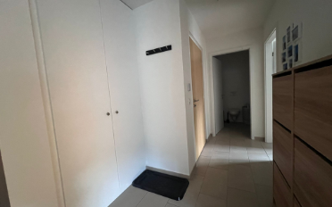 Wohnung 2.5 Zimmer - image - 5