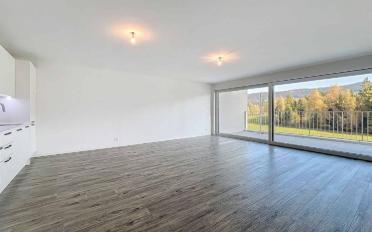 Wohnung 2.5 Zimmer - image - 1