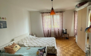 Wohnung 2.5 Zimmer - image - 2