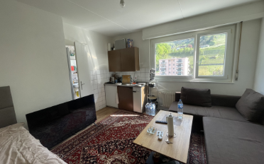 Appartement 1 pièce - image - 2