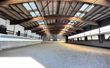 Riding hall - image - 8