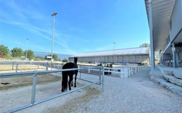 Riding hall - image - 4