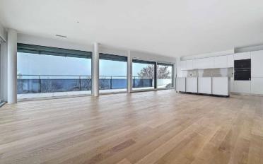Attic flat 5.5 rooms - image - 1