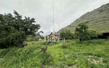 Appartement 2.5 pièces - image - 12