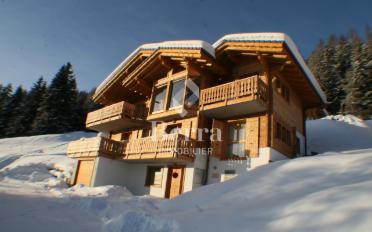 Chalet 5.5 pièces - image - 1