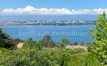 Villa 10 Zimmer - image - 1
