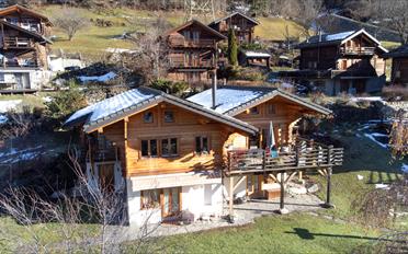 Chalet 4 Zimmer - image - 2