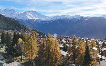 Chalet 6 Zimmer - image - 2
