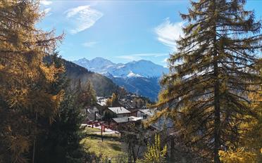 Chalet 6 Zimmer - image - 6
