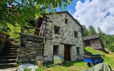 Chalet 3.5 pièces - image - 2