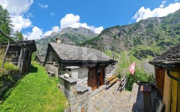 Chalet 3.5 pièces - image - 3