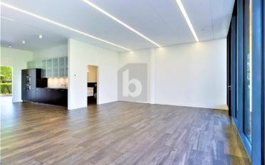 Shop 2.5 rooms - image - 2