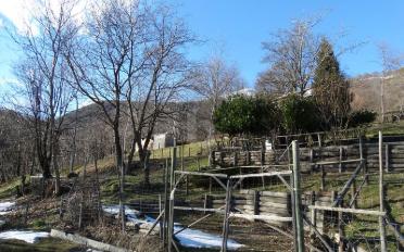 Terrain agricole - image - 5