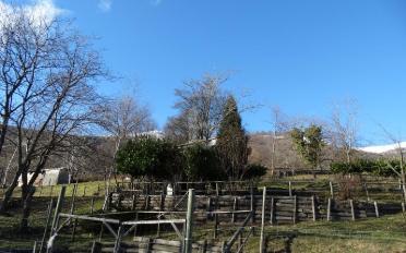 Terrain agricole - image - 2