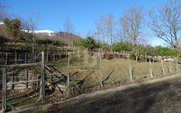 Terrain agricole - image - 1