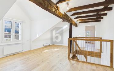Duplex 5.5 pièces - image - 1