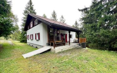Chalet 9 rooms - image - 2