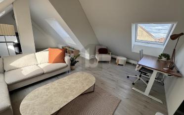Furnished flat 2.5 rooms - image - 2