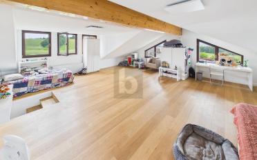 Einfamilienhaus 10.5 Zimmer - image - 4