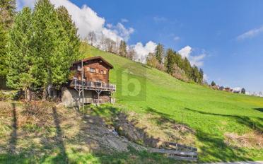 Chalet 4.5 Zimmer - image - 1