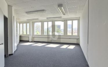 Büro 9 Zimmer - image - 4