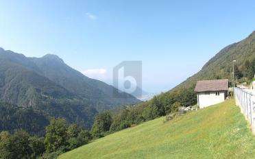 Wohnung 4 Zimmer - image - 2