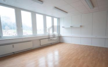 Büro 12 Zimmer - image - 4