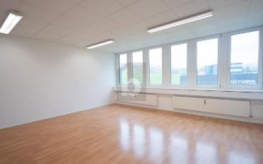 Büro 12 Zimmer - image - 5