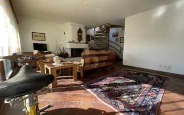 Einfamilienhaus 5.5 Zimmer - image - 4