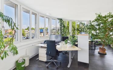 Büro 1.5 Zimmer - image - 3