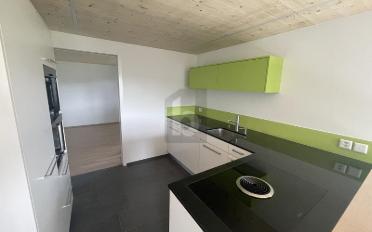 Duplex 5.5 pièces - image - 2