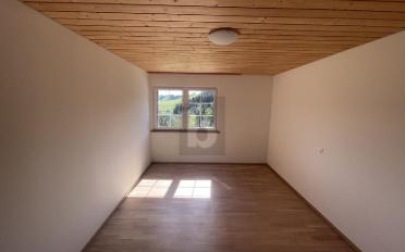 Duplex 5.5 pièces - image - 3