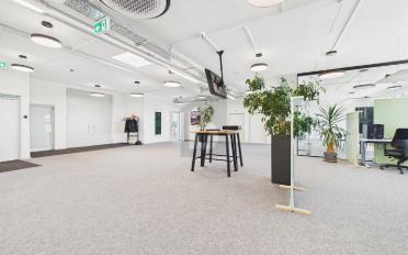 Office 9 rooms - image - 2