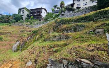 Building land - image - 4